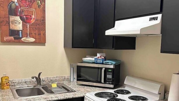 Una cocina compacta con armarios oscuros, un microondas, un horno y un lavamanos.