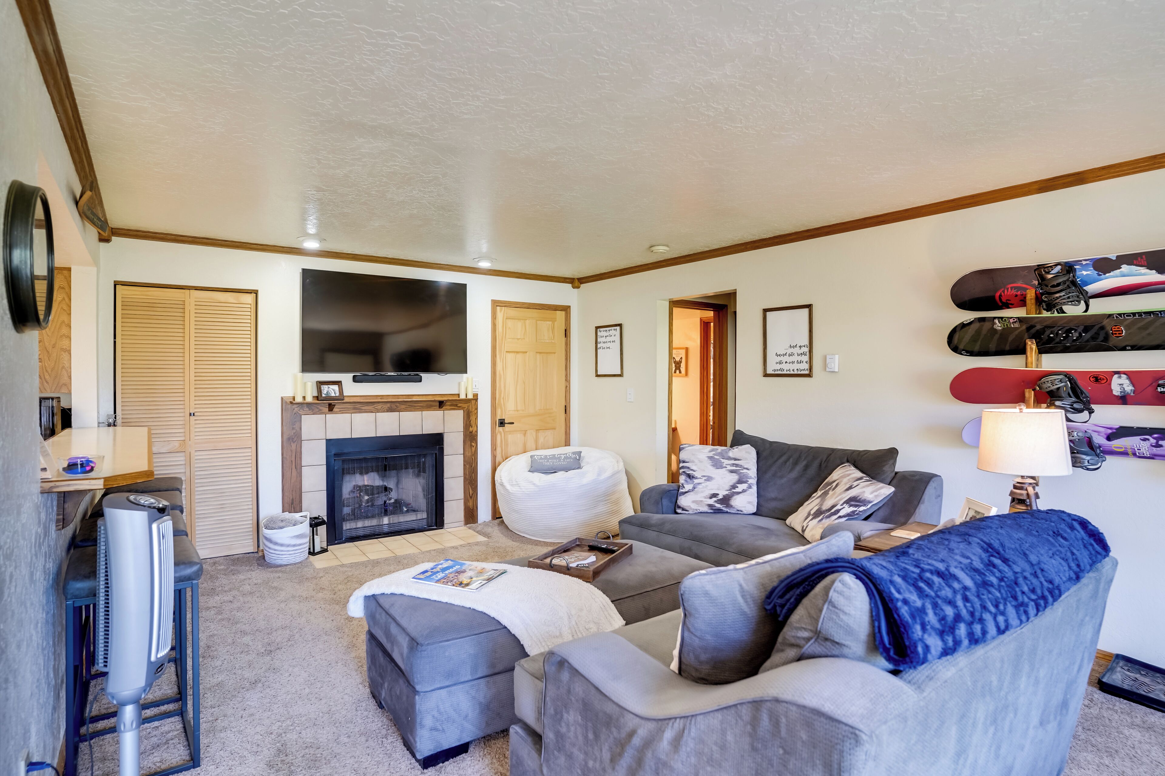 TV, fireplace, books
