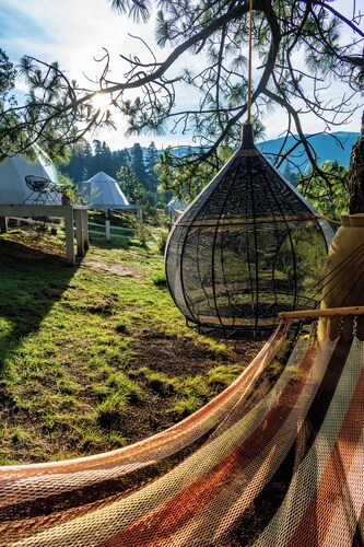 Super Domo Panoramico EN EL Bosque