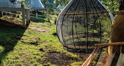 Super Domo Panoramico EN EL Bosque