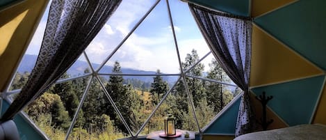 1 habitación, wifi y ropa de cama