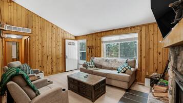 Smart TV, fireplace, books