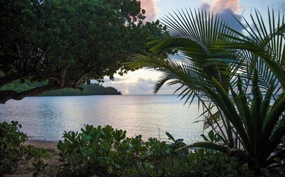 Your Storybook Tropical Island Escape at Anini Beach- TVNC 1361