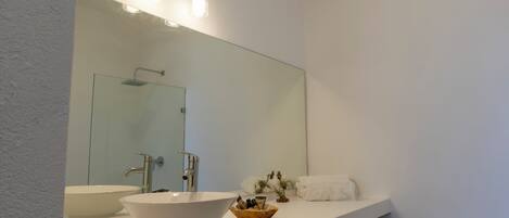 A bathroom with a large mirror, two sinks, a towel rack, and a small plant on the counter.