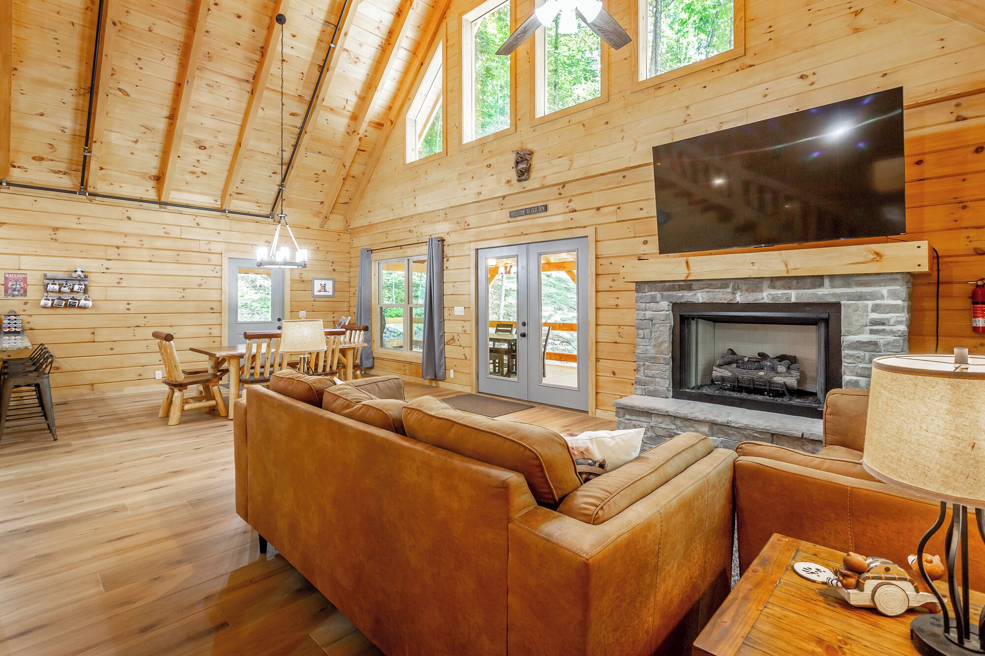 Smart TV, fireplace, DVD player, books