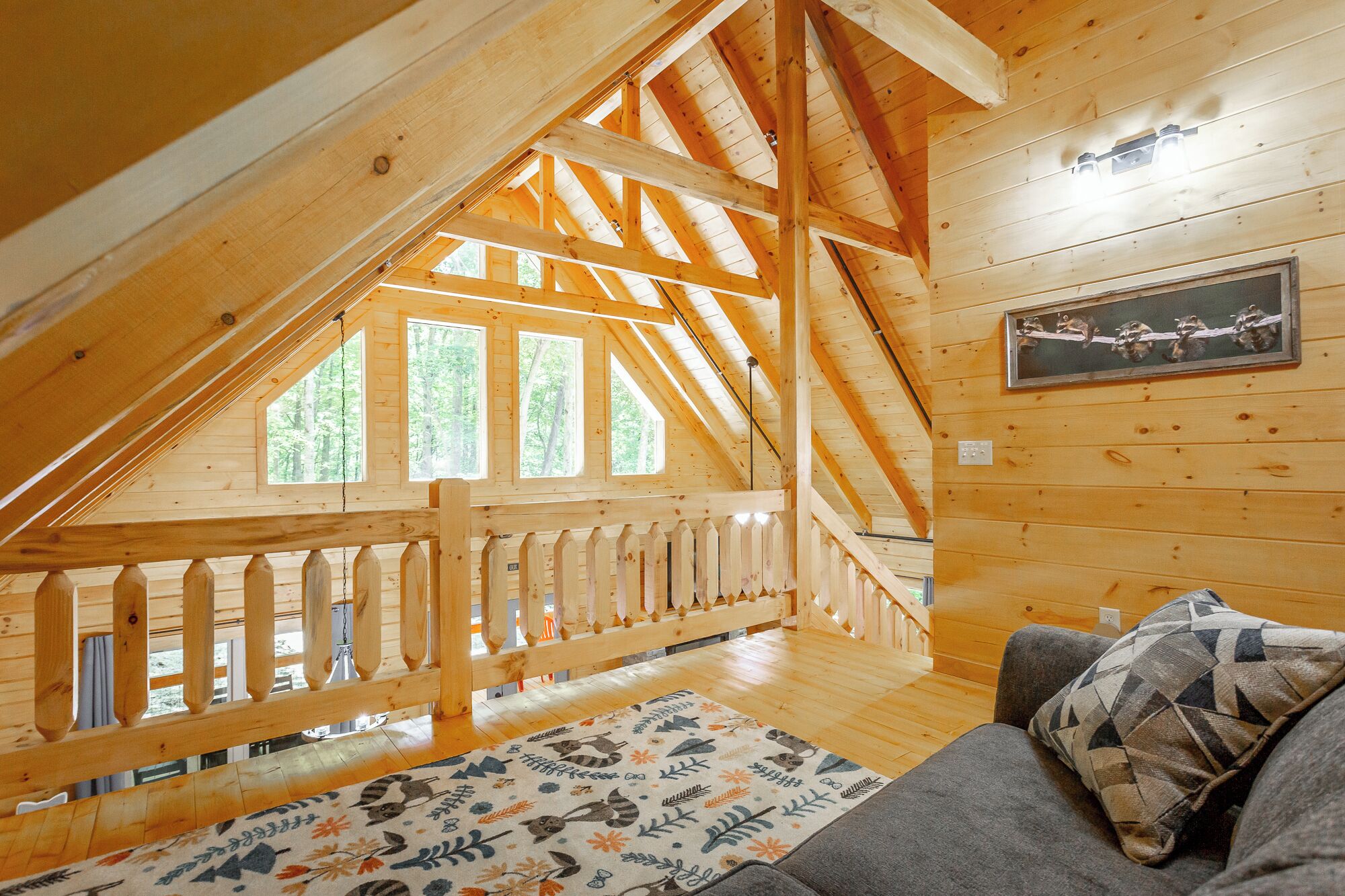 Smart TV, fireplace, DVD player, books