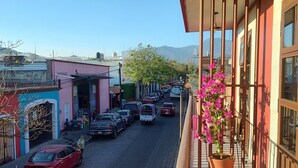A balcony with a potted plant, a view of a street with parked cars, and buildings in the background. - Lidia Anturios Suites (Oaxaca)