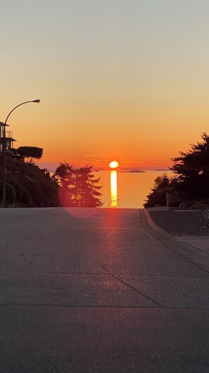 A road leading to a sunset over a body of water, with trees and a street lamp on the left.