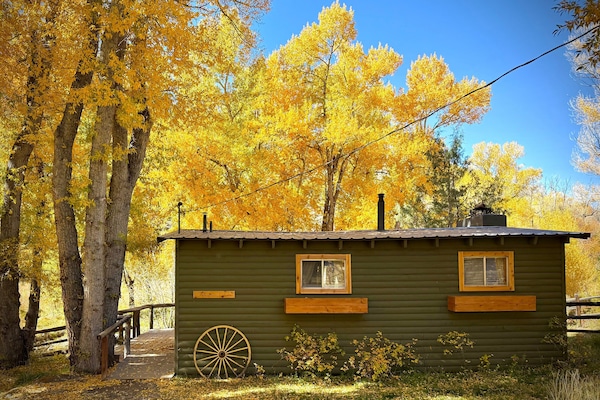This beautiful cabin sleep4 four and is right on the bank of the South Arkansas River