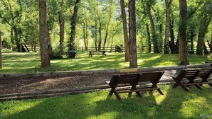 Ein Park mit hölzernen Bänken und Picknicktischen, umgeben von hohen Bäumen.