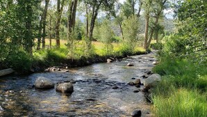 Un corso d'acqua naturale con rocce e alberi.