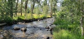 Un cours d’eau naturel bordé de rochers et d’arbres.