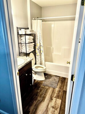 Hair dryer, towels, soap, shampoo