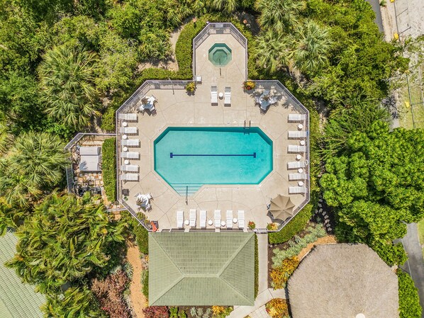 Pool - Condo in Naples Walk! 2 Miles to the Beach! (Naples)