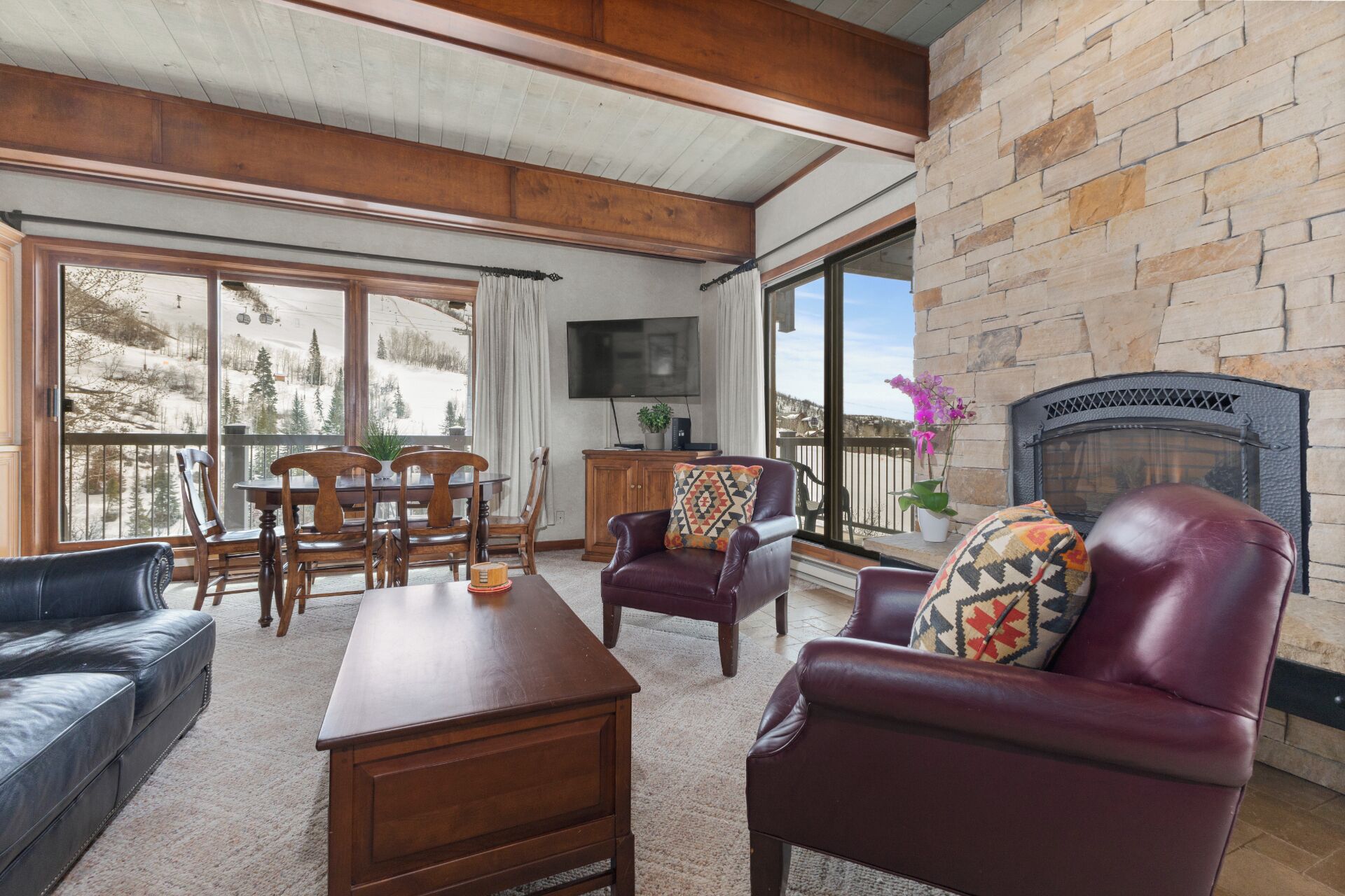 Televisor, llar de foc i reproductor de DVD 