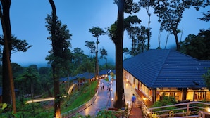 A pathway leading to a building surrounded by trees.