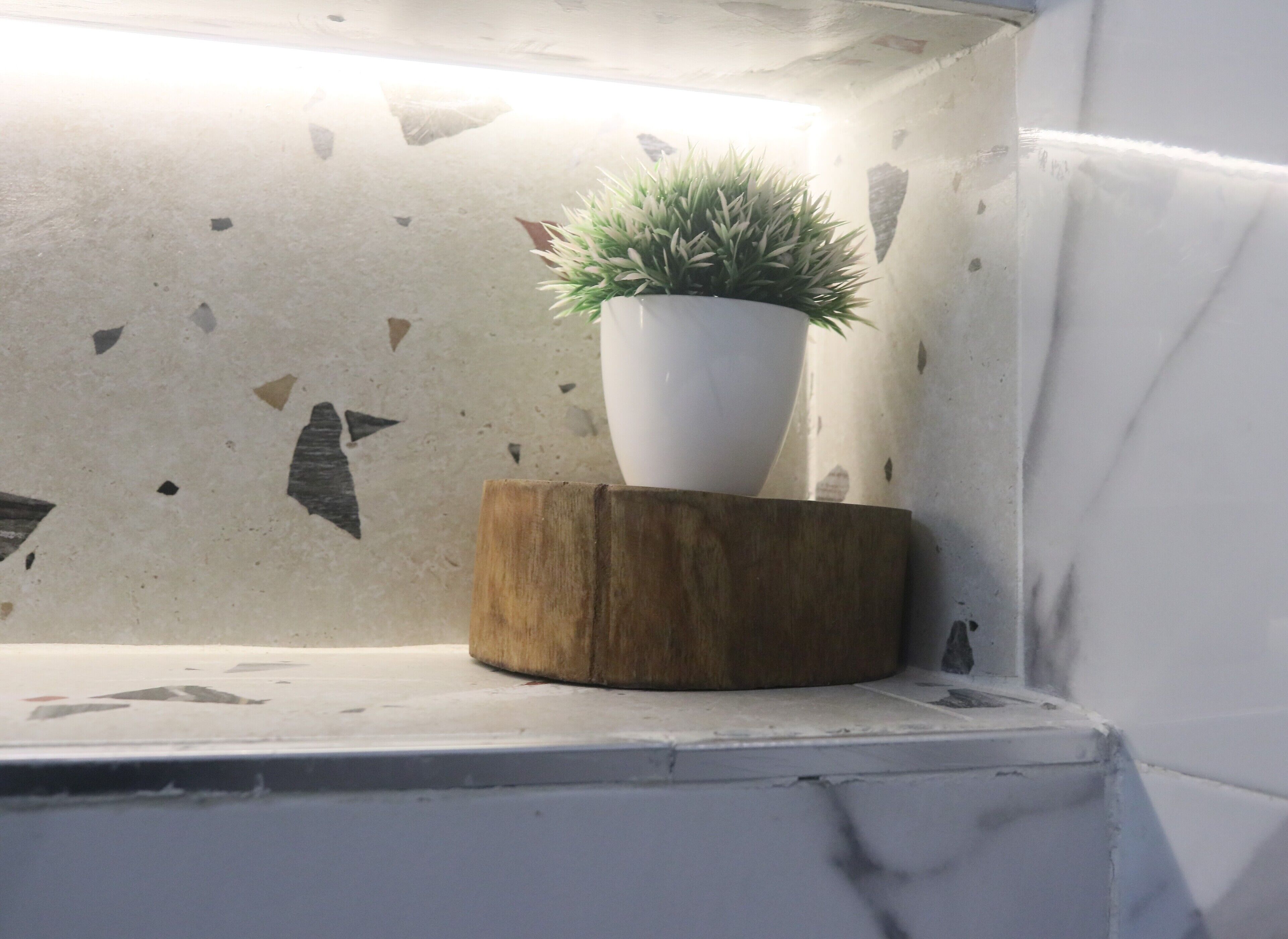 Una planta en maceta sobre un bloque de madera frente a un muro de terrazo.