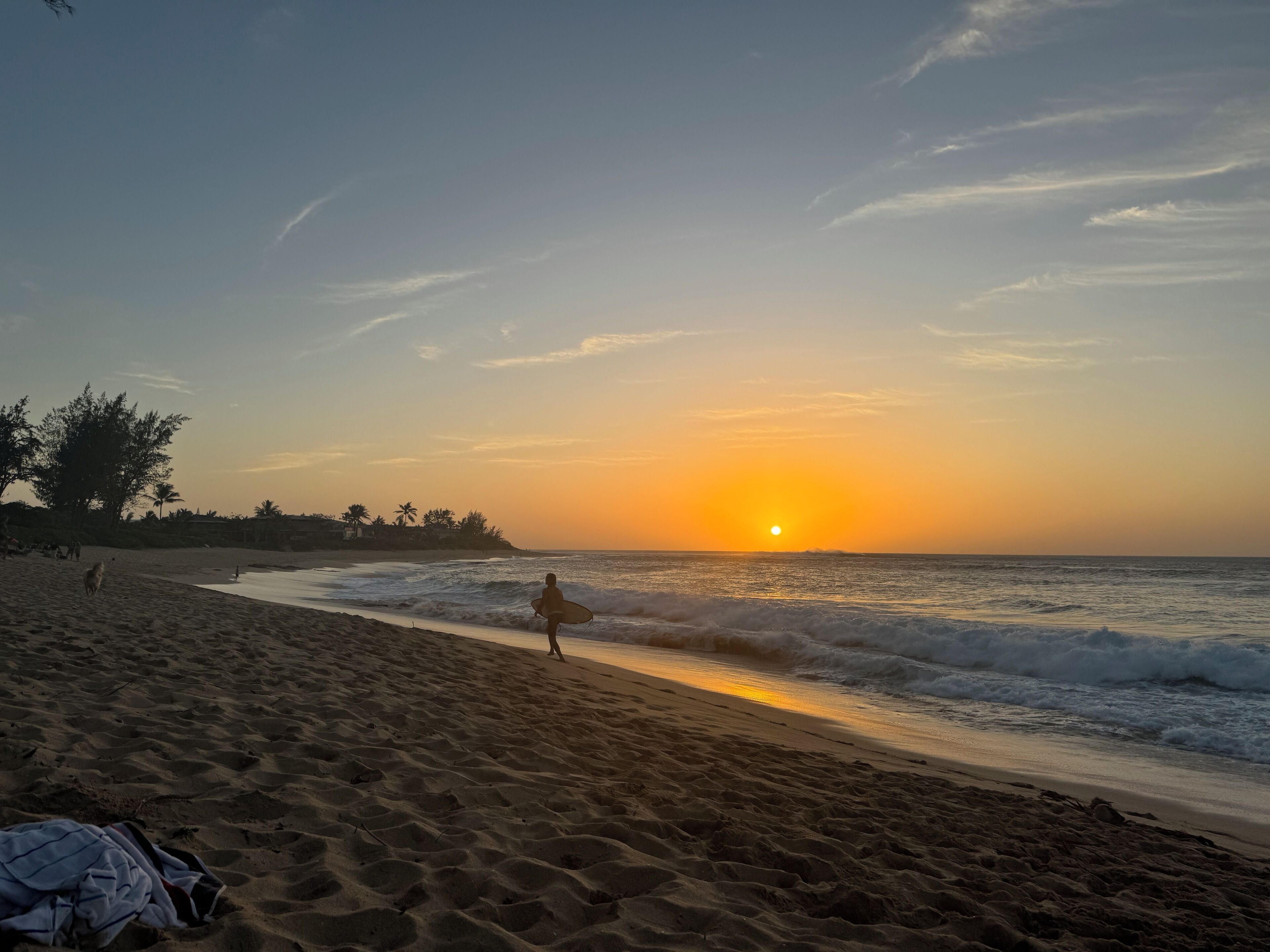 Une scène de plage avec une personne tenant une planche de surf, des vagues et un coucher de soleil.