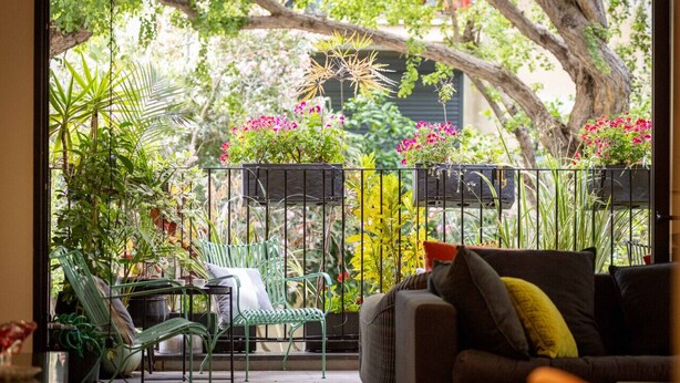 An indoor garden with a variety of plants and flowers, a green metal chair, and a brown sofa with cushions. - Mamad Tel Aviv Paradise Haven (Tel Aviv)