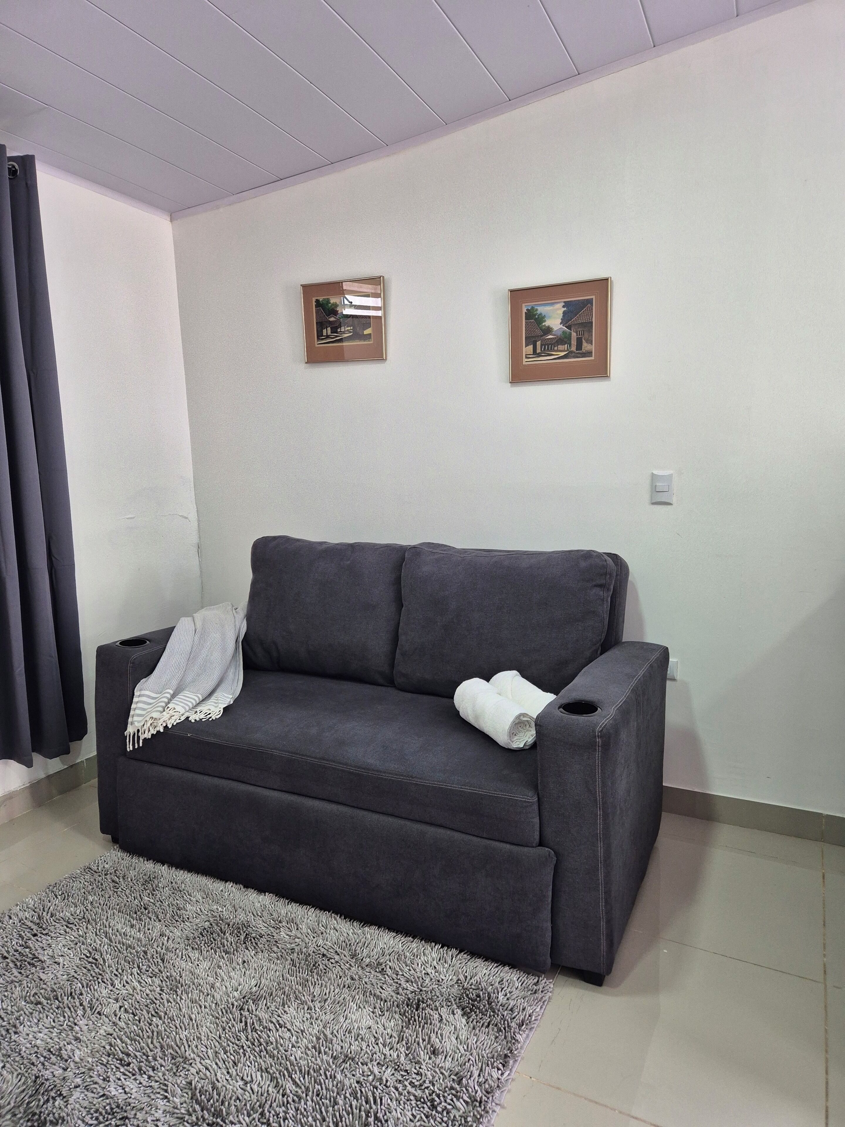 A grey sofa with a blanket and rolled towels, a grey shaggy rug, and two framed pictures on the wall.