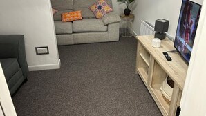 A living room with a grey sofa, two patterned throw pillows, a small side table with a plant, a TV on a wooden stand, and a remote control.