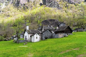 Eksteriør
