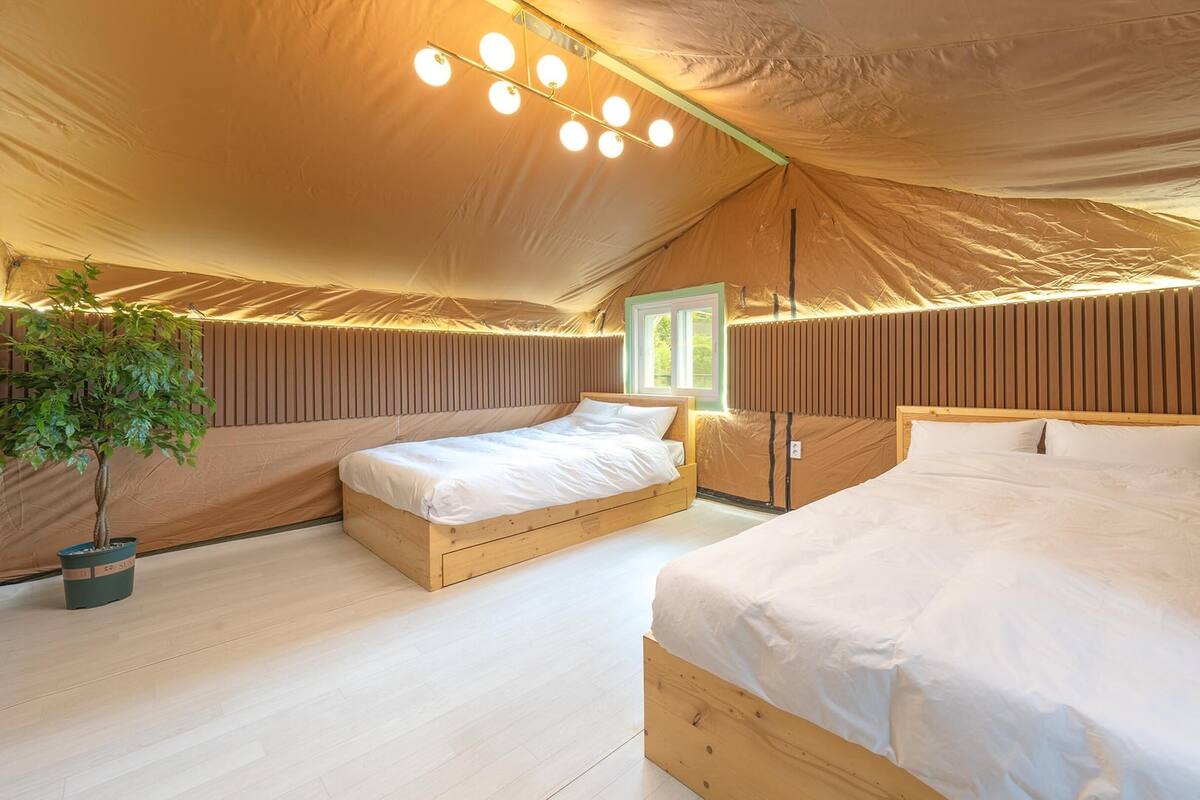 Habitación con tienda de campaña, dos camas, una planta en maceta y una ventana.