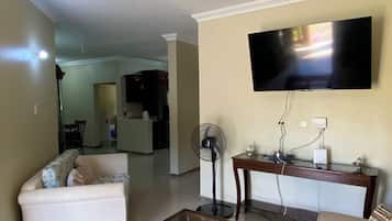 TV