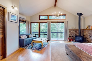 Télévision, cheminée, lecteur de DVD