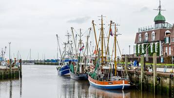 Puerto deportivo