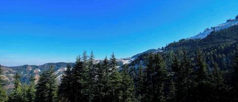 Un paysage montagneux, avec de vastes forêts et un ciel bleu dégagé.