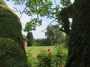 Overnattingsstedets uteområder