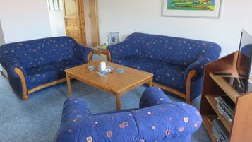 TV, lettore DVD, tavolo da ping pong