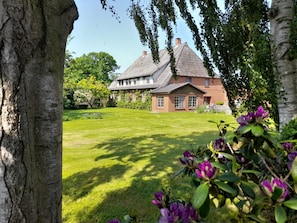 A house with a large lawn and a thatched roof.