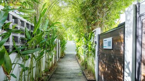 Un étroit sentier en bois, bordé de hautes plantes vertes et de murs blancs, mène à l’entrée d’un bâtiment.