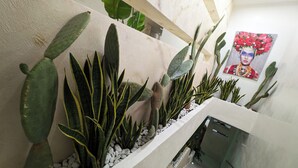 Un interior moderno con una pared blanca, una planta de cactus y una obra de arte enmarcada.