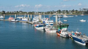 Un puerto deportivo con varios barcos amarrados a muelles de madera.