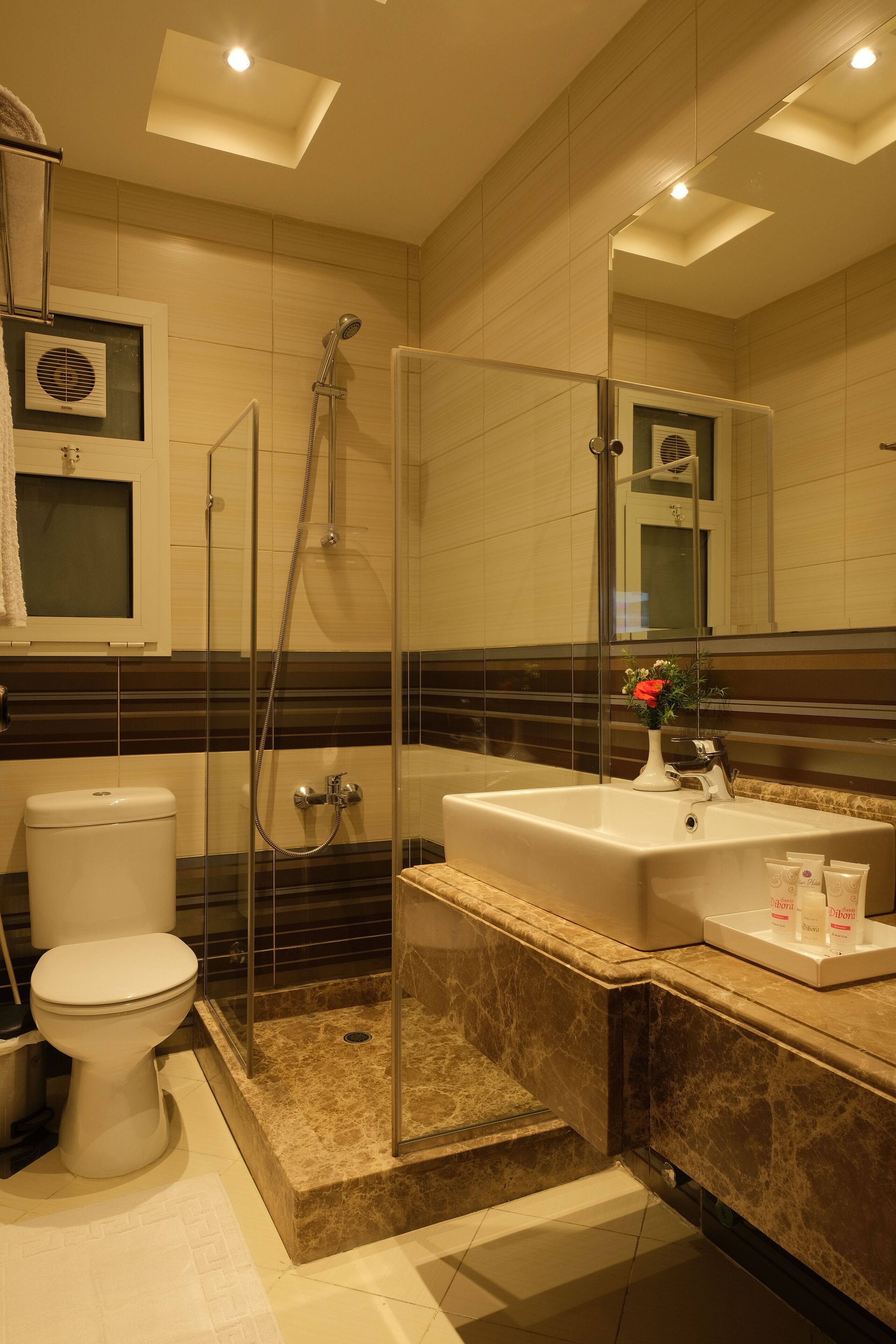 A modern bathroom with a glass-enclosed shower, a white toilet, and a sink with toiletries.