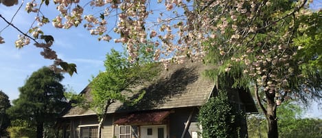 Aussenbereich
