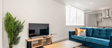 Fernseher, Arbeitsbereiche