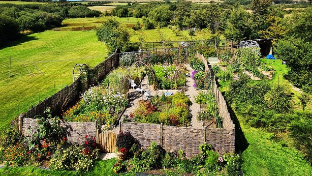 Um jardim com caminho de pedra, plantas diversas e uma pequena construção.