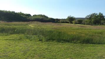 A grassy field with a path leading through it.