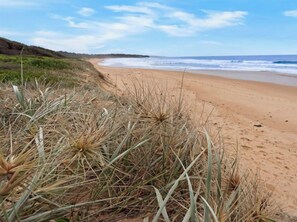 Une plage avec de l’herbe sèche et un ciel dégagé.