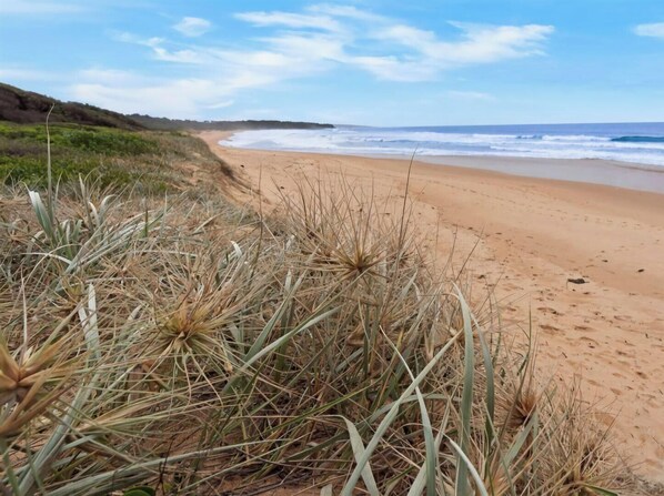 Playa en los alrededores 