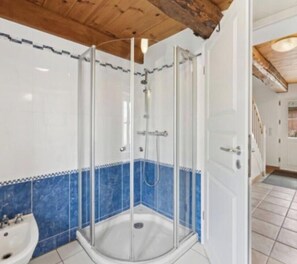 Shower, bidet, towels, toilet paper