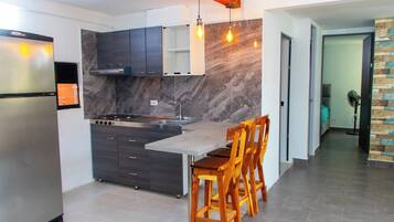 Apartment | Private kitchen | Fridge, stovetop, dishwasher