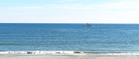 On the beach