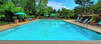 Pine Brook Apartments: Luxurious living in a stunning wooded setting