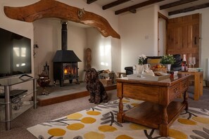 Televisión, chimenea y oficina 