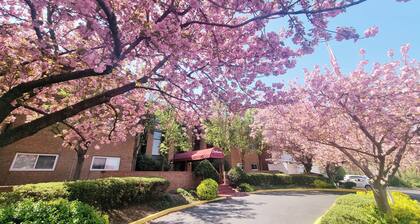 1BR w/ Balcony & Parking – Monthly Discount